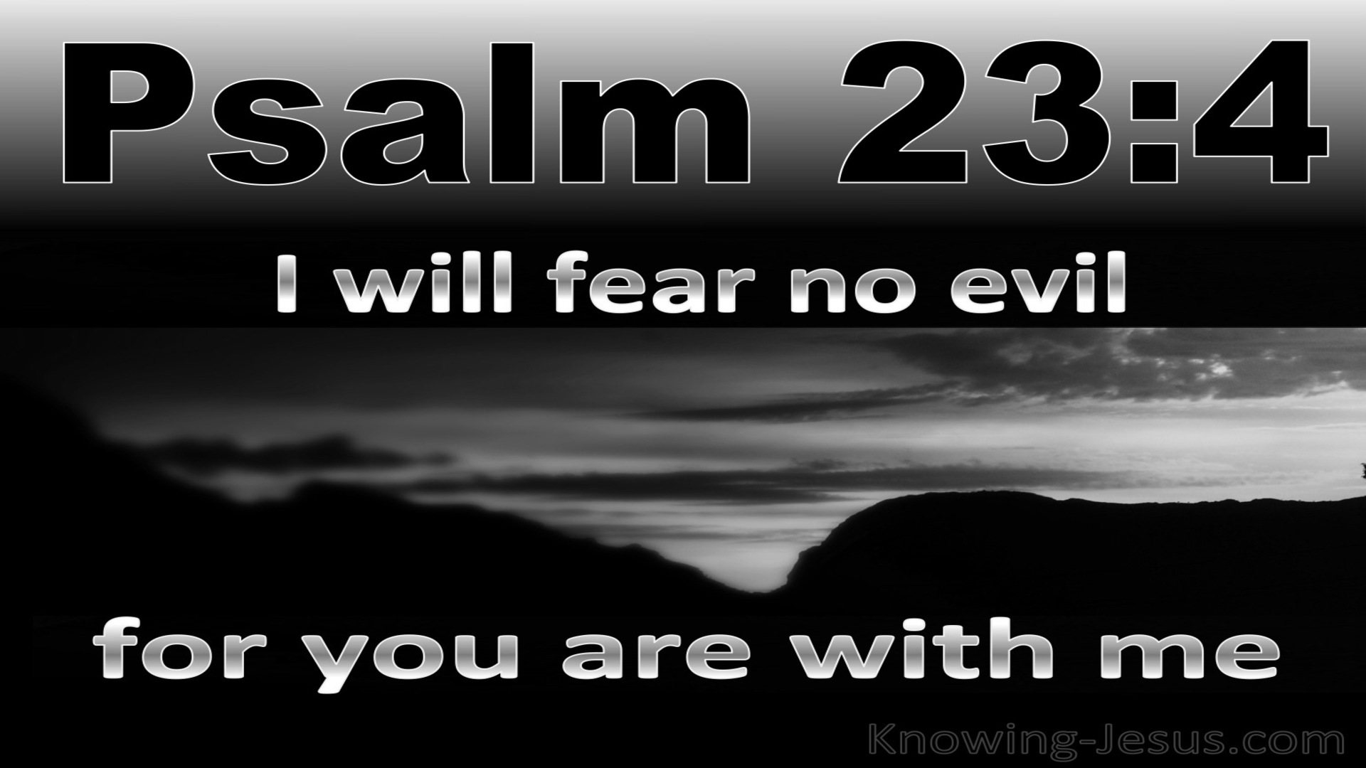 Psalm 23:4 I Fear No Evil For You Are With Me (black)